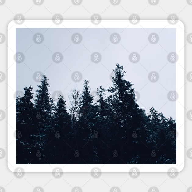 Dark Winter Trees Sticker by Rosey Elisabeth